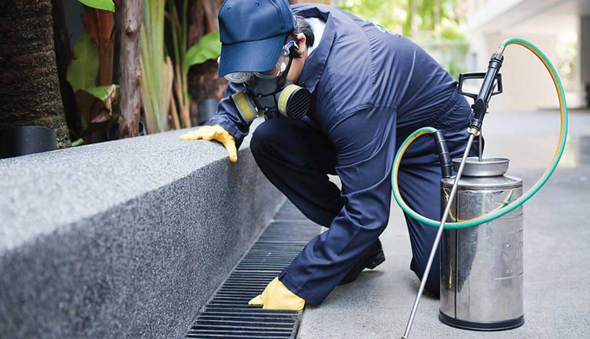 The History and Science of Pest Control Melbourne Australia 