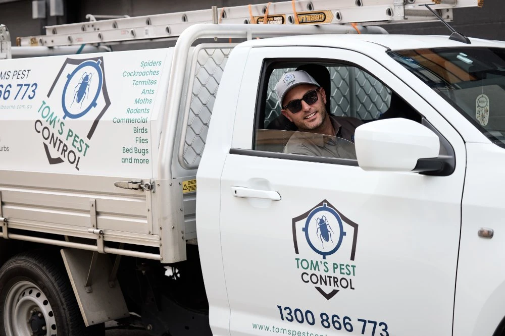 End of Lease Pest Control Experts