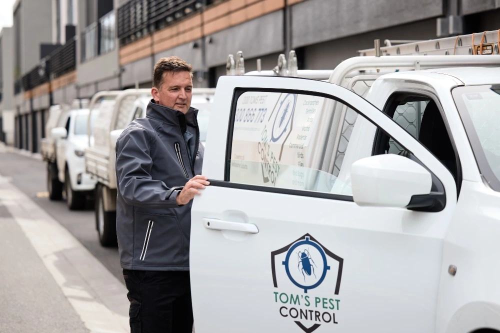 End of Lease Pest Services